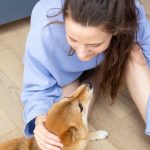 Важные сигналы и как помочь животному